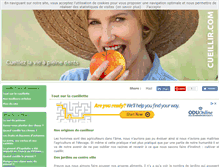 Tablet Screenshot of cueillir.com